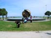 DSCN3776