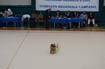 ottobre 09 (62)