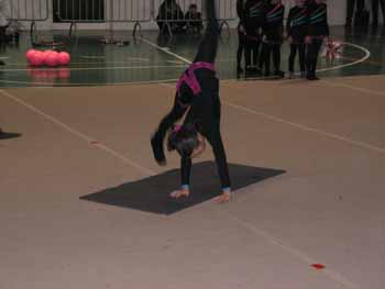 PICT0129