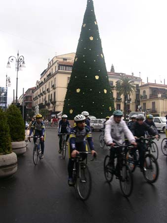 DSCN6325