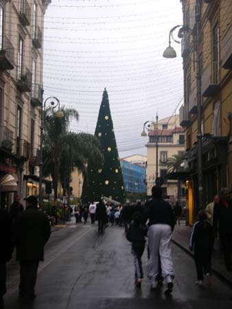 DSCN6331