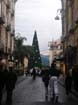 DSCN6331