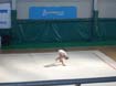 DSCN0560