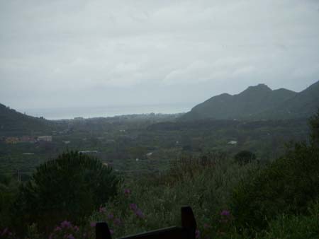 DSCN0130